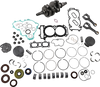 VERTEX Engine Rebuild Kit - Polaris WR00042