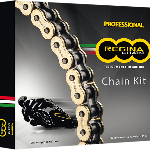 REGINA Chain and Sprocket Kit - Ducati - 848 SBK - '08-'13 KD044