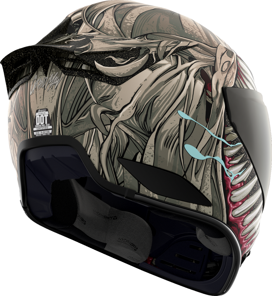 ICON Domain* Helmet - Grand Maw - Gray - Large 010117297