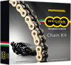 REGINA Chain and Sprocket Kit - Kawasaki - ZX11 - '93-'01 6ZRP2/110KKA010