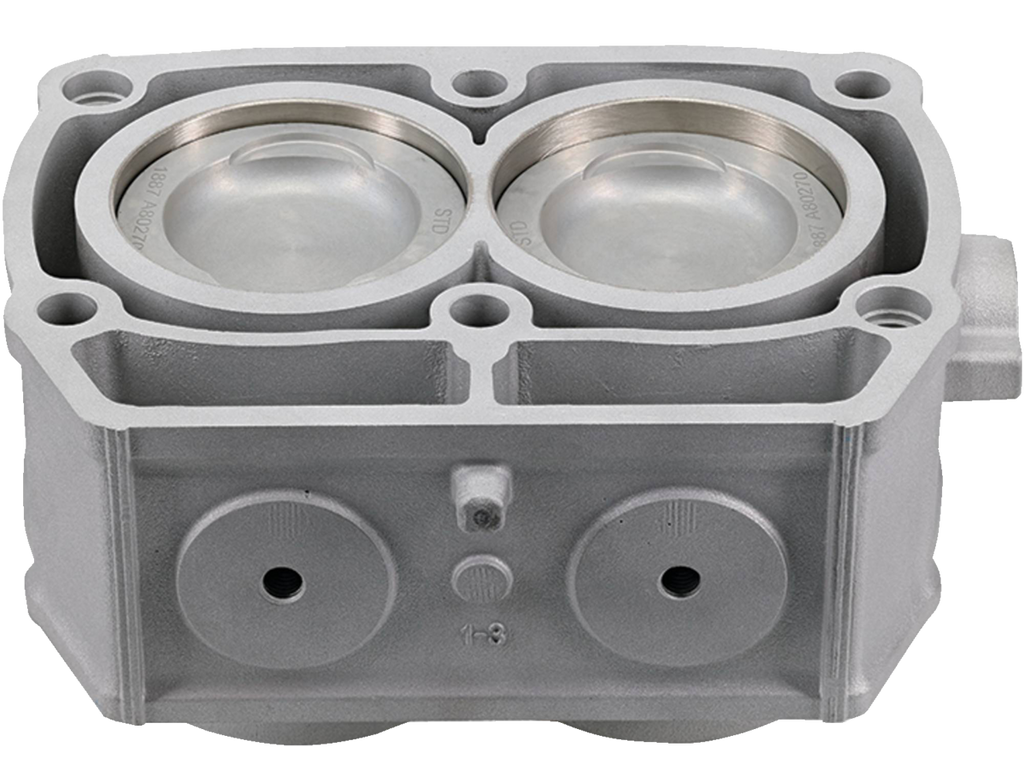 CYLINDER WORKS Cylinder Kit - Standard Bore - 80.00 mm - Polaris 60002-K07