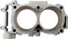 CYLINDER WORKS Cylinder Kit - Standard Bore - 93.00 mm - Polaris CW60008K03