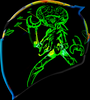 ICON Airflite Bugoid Blitz Helmet Blue XL 0101-15550