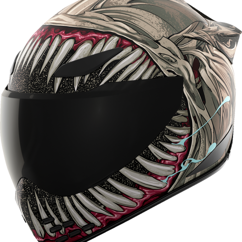 ICON Domain* Helmet - Grand Maw - Gray - Large 010117297