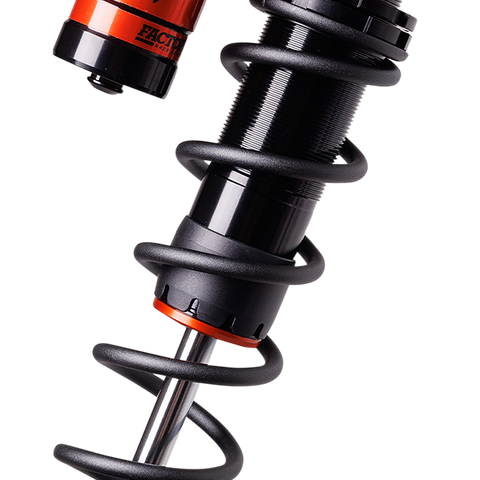 S/D Backcountry Ski Kit