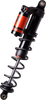 S/D Renegade Ski Kit